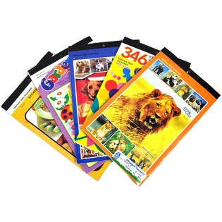Lote de Libros de Pegatinas Surtidos (108 uds.)