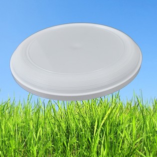 FRISBEE EST&Aacute;NDAR 21 CM (Pack de 25)